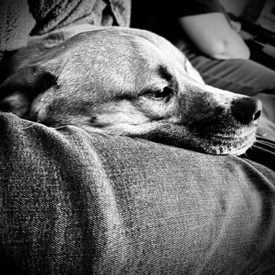 emo_husk's profile picture. He/him https://t.co/8BUuNzUhwC DON’T SUPPORT NAZIS