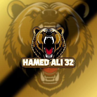 HameeedAli32 Profile Picture