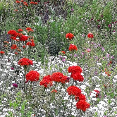 Laine6Penny's profile picture. 