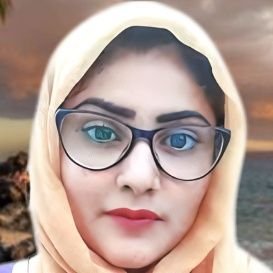 Binte_e_Kulsoom Profile Picture