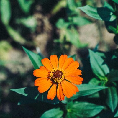 Everything that is beautiful in the world is as if God poured it into nature and made it complete, unique. seems to be similar.