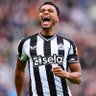 wylie_fred's profile picture. | @nufc | @redbullracing | NUFC MEMBER |