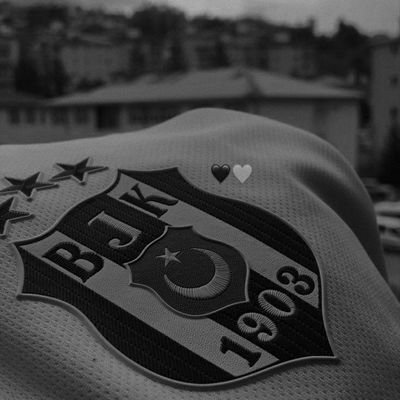 Sadece Beşiktaş 🦅 
Bizim Kanımız Siyah Beyaz 🤍🖤
Beşiktaş'ın çocukları