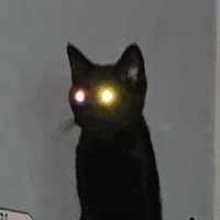 shan’boi (@_shan2dakay) 's Twitter Profile