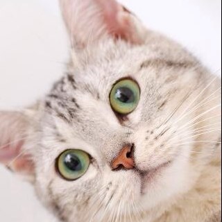 Jannabee69's profile picture. 