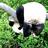 gibsongirl77's profile image