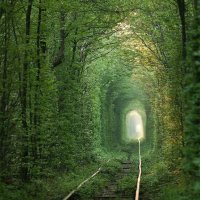 THE UNIVERSE BOY⭐ (@theuniverseboy0) 's Twitter Profile