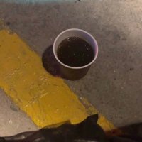 Lamia🤍🤍 (@lamia_1075) Twitter profile photo