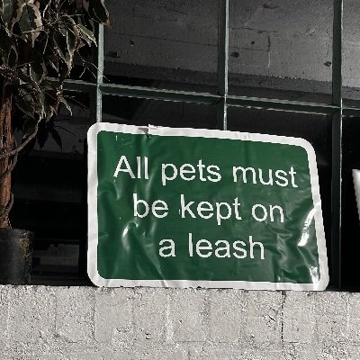 HuntingDDY's profile picture. 