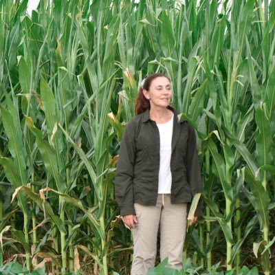 josefina_molino's profile picture. Ing. Agrónoma Ejerzo la maternidad desde 2014 👧🏻. Prácticamente todo es relativo. 🇦🇷🇦🇷