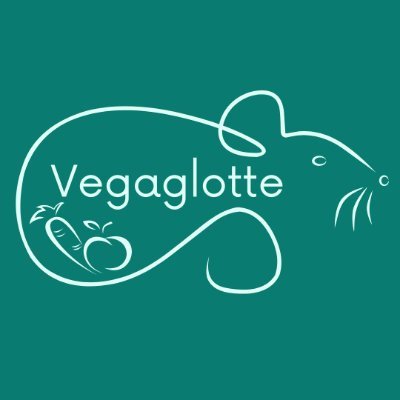 Recettes véganes de Léna et du rat Ravioli. Cuisine du monde, recettes de tous les jours, formation en cuisine végétale 💚