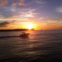 Judy Conrad - @judyconrad - Twitter