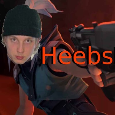HeebsPlays's profile picture. @HeebsPlays on twitch 
Clips and Stream posts :)