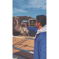 𝔹𝕆 𝔸ℤ𝕆𝕆ℤ 🐎🇰🇼 (@s_kwt98) 's Twitter Profile Photo 𝔹𝕆 𝔸ℤ𝕆𝕆ℤ 🐎🇰🇼 (@s_kwt98) 's Twitter Profile Photo