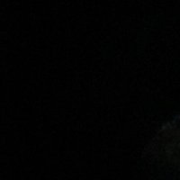 D Fish (@danfishburn01) 's Twitter Profile Photo D Fish (@danfishburn01) 's Twitter Profile Photo