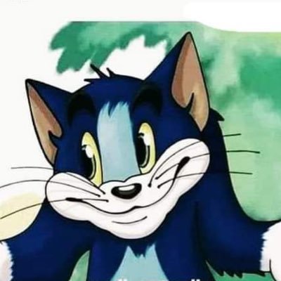 Calvinnball's profile picture. Patiently awaiting to taste the sweet rainwater Earth has to offer after a championship trophy is finally brought back to Madison Square Garden.