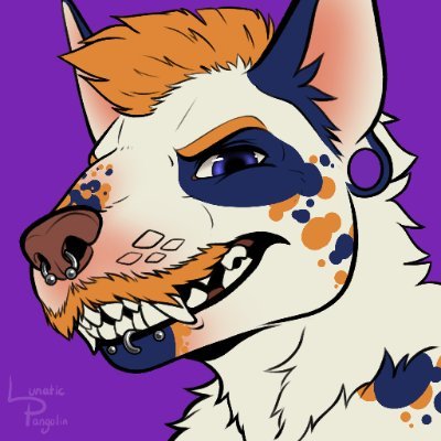 Half Spotted Bull terrier/Half orange human pup. 100% of a loud gay goofy dumb dog. 27/Homoflexible. Collared beta to @Shep_atNight.
This account is 18+be ready