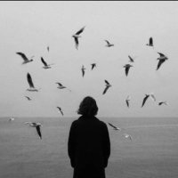 دُنيا (@almdonia874) Twitter profile photo