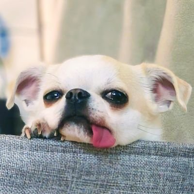 クレがいい。
@KURE__9071