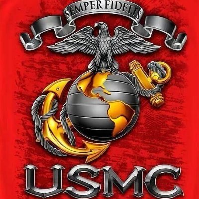 24Yr USMC Combat Vet, Fierce Patriot of our Republic, 1A Practitioner, 2A Expert (Addict), ZERO Tolerance for Socialists, Snowflakes or Pronouns. MAGA For Life!