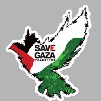 FreeGaza
🫡🫡🇵🇸 Palestine 🇵🇸 Gaza 🇵🇸🫡🫡

الحرب الصهيونية على غزة
🇵🇸غزة تتعرض للابادة والتطهير العرقي

https://t.co/zd0YgLd3gX