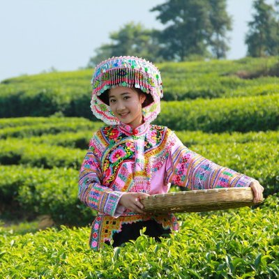 A professional tea exporting manufacture in China---Zunyi Meitan Hui Hengda Tea