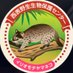 バーニングハンマー (@ryukokuno1) Twitter profile photo バーニングハンマー (@ryukokuno1) Twitter profile photo