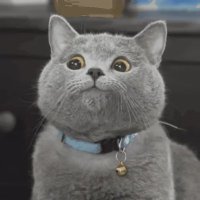 I'm back! (@universeice) 's Twitter Profile Photo I'm back! (@universeice) 's Twitter Profile Photo