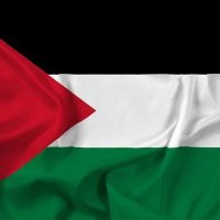 Ali Elnaggar 🇵🇸 (@lol_dukealy) Twitter profile photo