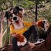VladWild (@vladyzwild) Twitter profile photo VladWild (@vladyzwild) Twitter profile photo