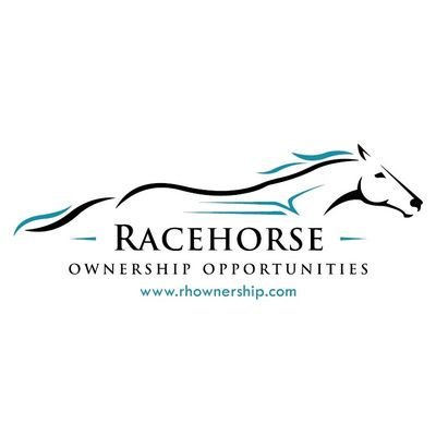 Is an online marketplace, where we list Racehorses with shares available for sale across Australia & New Zealand in both Thoroughbred and Harness horses.