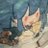 solali_1's profile image