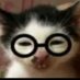 trapito sepsi ;3 (@trapito_sepsi) Twitter profile photo trapito sepsi ;3 (@trapito_sepsi) Twitter profile photo