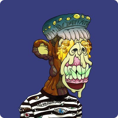 shakmeta's profile picture. early adopter, disruptor, enthusiast