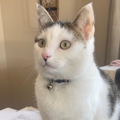 liv_taylorr_'s profile picture. 