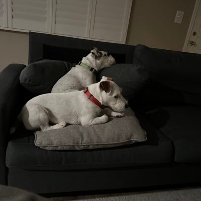 cherylrodr8922's profile picture. 