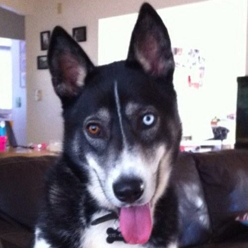 Fish4294's profile picture. 