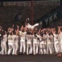 まさやん エスコン参戦 (@masayan20231102) 's Twitter Profile