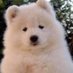 마치 (@3marchmarch3) Twitter profile photo 마치 (@3marchmarch3) Twitter profile photo