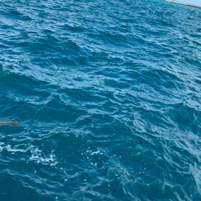 backpackofsoil's profile picture. walk around like you’re bigger than prince