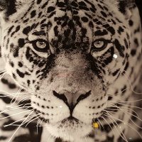 Eleonore (@whereismymodel3) 's Twitter Profile Photo