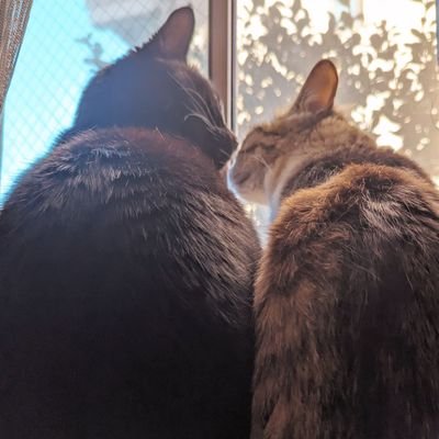 日産✨ap✨miss you7/6✨F&М
無言フォロー失礼します&大歓迎です!
保護猫/黒猫 ・キジシロ🐈⬛🐈♡
Mr.Children/Mrs.GREEN APPLE/Novelbright 好きです🍀