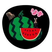 リナ🍉🦑🍓(@suika_ika0901) 's Twitter Profile Photo