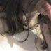 bunny — 🐰 (@babybunnieqt) Twitter profile photo bunny — 🐰 (@babybunnieqt) Twitter profile photo