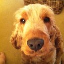 Sally-Anne Dilley - @SallyDilley - Twitter