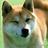 0402YOKO's profile image