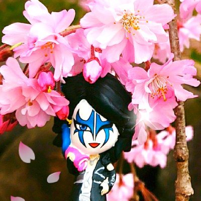 みかるさんのプロフィール画像