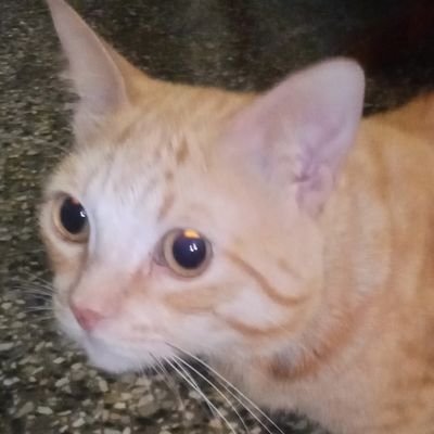 jofer169's profile picture. 