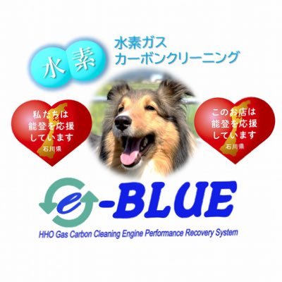 e_BLUE2022 Profile Picture