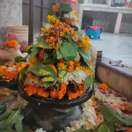 Shashwa88472035's profile picture. Hindu 🚩